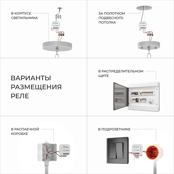 Eurosvet 201002/12